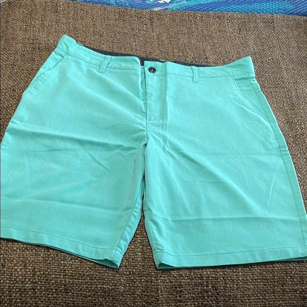 Faded Glory Men's Teal Flat Front Shorts